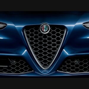 OEM Carbon Scudetto for ALL Giulia 2016-2022
