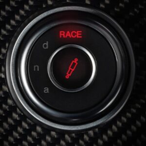 OEM Race DNA Controller (Facelift 2020+)