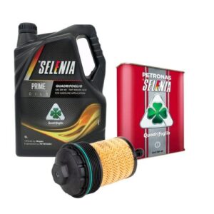 Service & Maintainance