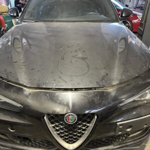 OEM Original Giulia Quadrifoglio Carbon bonnet/hood